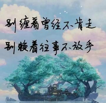 情感語(yǔ)錄（徒手摘星辰卻愛(ài)而不得，得不到的才是最好的）