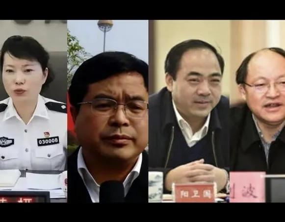 落馬市長陽衛(wèi)國“太子奶冤案”5人組成員，三兄弟和兒子一起被捕-圖2