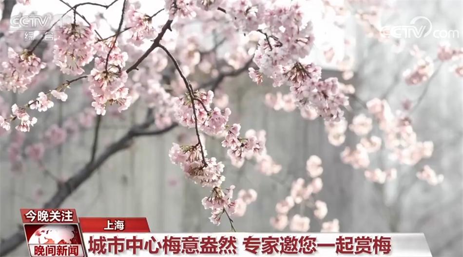 提振消費 豐富文化生活 “煙火氣”里看活力中國-圖2